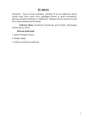 Persepolis – legendinė imperijos sostinė 3 puslapis