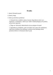 Persepolis – legendinė imperijos sostinė 5 puslapis