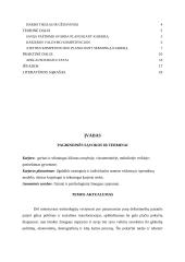 Asmeninių savybių svarba planuojant karjerą 2 puslapis