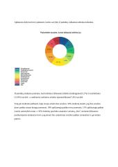 Asmeninių savybių svarba planuojant karjerą 11 puslapis