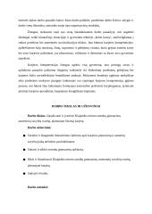 Asmeninių savybių svarba planuojant karjerą 3 puslapis