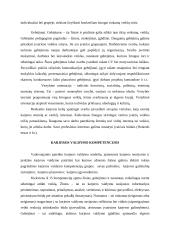 Asmeninių savybių svarba planuojant karjerą 5 puslapis