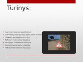 Ekstremalios situacijos rūšys ir veiksmai ekstremalios situacijos metu 2 puslapis