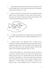 Sisteminis požiūris vadyboje 2 puslapis