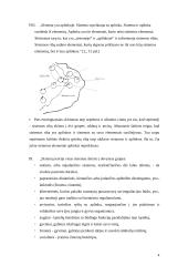 Sisteminis požiūris vadyboje 4 puslapis