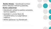 Luminor Bank išduotų vartojimo paskolų analizė 2 puslapis