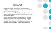Luminor Bank išduotų vartojimo paskolų analizė 12 puslapis