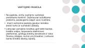Luminor Bank išduotų vartojimo paskolų analizė 3 puslapis