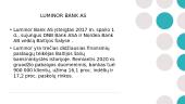 Luminor Bank išduotų vartojimo paskolų analizė 5 puslapis