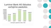 Luminor Bank išduotų vartojimo paskolų analizė 8 puslapis