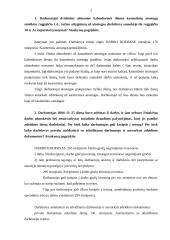Situacijų analizė 2 puslapis