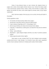 Druska ir cukrus mityboje 4 puslapis