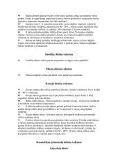 Skalbiamųjų priemonių poveikis dėmėms 4 puslapis