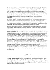 Antanas Škėma ir jo kūrinys "Balta drobulė" 3 puslapis