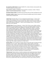 Antanas Škėma ir jo kūrinys "Balta drobulė" 4 puslapis