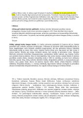 Antanas Škėma ir jo kūrinys "Balta drobulė" 5 puslapis