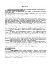 Skoliniai esantys lietuvių kalboje 2 puslapis