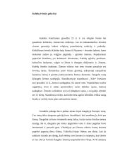 Kalėdų šventės lyginamoji analizė 2 puslapis