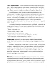 Smulkioji lietuvių tautosaka: žanrinė įvairovė 5 puslapis