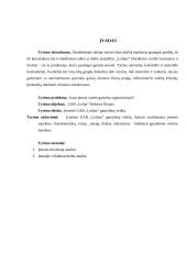 Profesinės pažintinės praktikos analizė įmonėje UAB ,,Lelija“ 4 puslapis