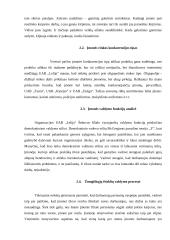 Profesinės pažintinės praktikos analizė įmonėje UAB ,,Lelija“ 8 puslapis