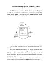 Socialinio darbuotojo įgūdžiai, klasifikacija, sistema 2 puslapis