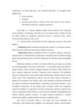 Socialinio darbuotojo įgūdžiai, klasifikacija, sistema 4 puslapis