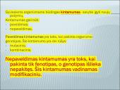 Modifikacinis kintamumas tyrime 2 puslapis