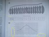 Modifikacinis kintamumas tyrime 11 puslapis