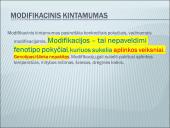 Modifikacinis kintamumas tyrime 3 puslapis