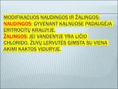 Modifikacinis kintamumas tyrime 5 puslapis