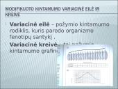 Modifikacinis kintamumas tyrime 8 puslapis