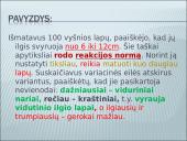 Modifikacinis kintamumas tyrime 10 puslapis