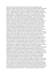 Kapitalizmo dinamika 2 puslapis