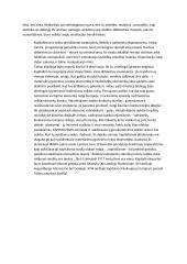 Kapitalizmo dinamika 4 puslapis