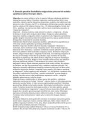 Sociologija - socialinė atskirtis 11 puslapis