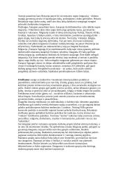 Sociologija - socialinė atskirtis 12 puslapis