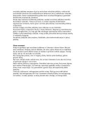 Sociologija - socialinė atskirtis 16 puslapis