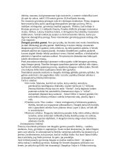 Sociologija - socialinė atskirtis 9 puslapis