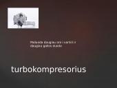 Elektros mechanizmai variklyje 7 puslapis