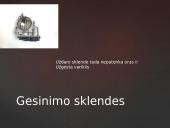 Elektros mechanizmai variklyje 8 puslapis