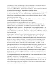 Kas yra kondensatorius? 2 puslapis