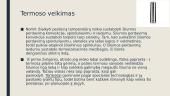 Kaip veikia termosas? 4 puslapis
