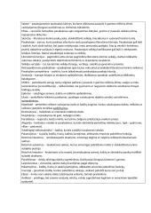 Literatūros sąvokos padėsiančios pasiruošti egzaminui 2 puslapis