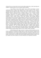 Žmogaus ir tėvynės santykis lietuvių literatūroje (Škėma, Nėris) 2 puslapis