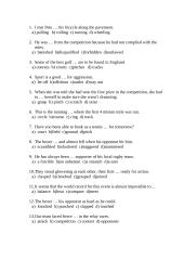 Sports and entertainment 5 puslapis