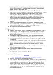 Neoromantizmo autoriai ir jų kūriniai 2 puslapis