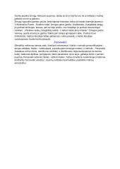 Neoromantizmo autoriai ir jų kūriniai 5 puslapis