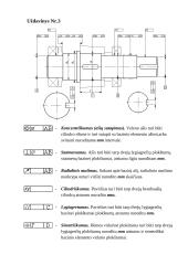 Standartizacija 6 puslapis