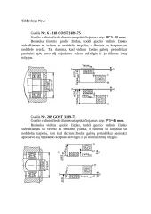 Standartizacija 8 puslapis